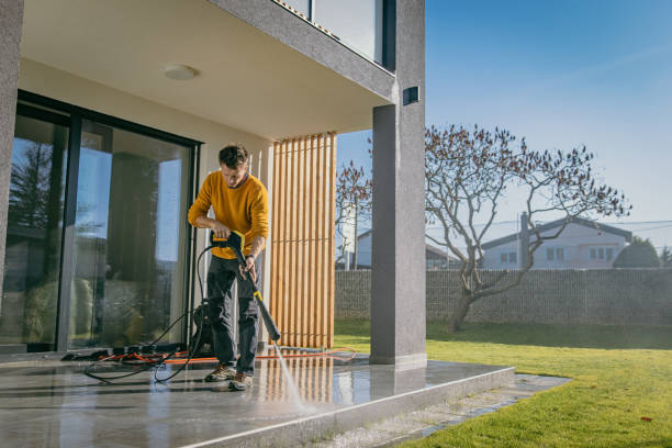 Best Pre-Holiday Cleaning  in North Merrick, NY